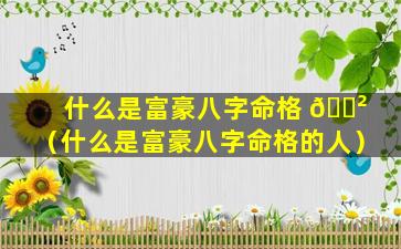 什么是富豪八字命格 🌲 （什么是富豪八字命格的人）